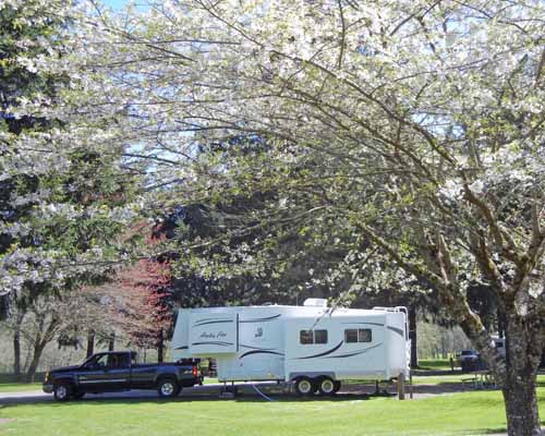 April camping at Mossyrock Park, White Pass