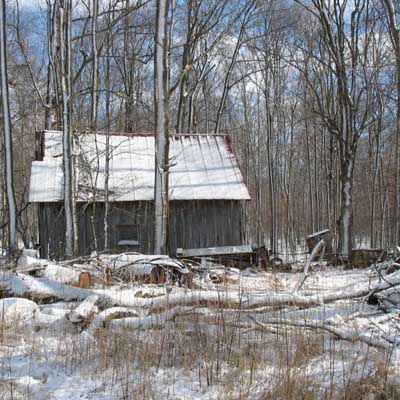 Sugar Shack